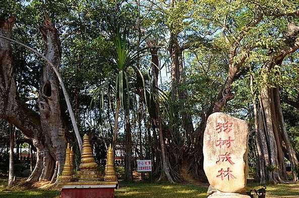 瑞丽旅游攻略必去景点