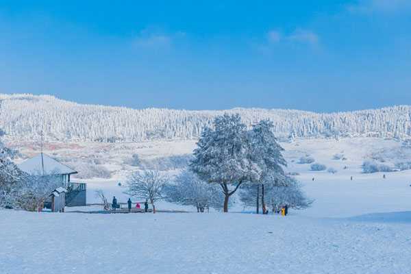 武隆仙女山滑雪场开放时间-游玩攻略