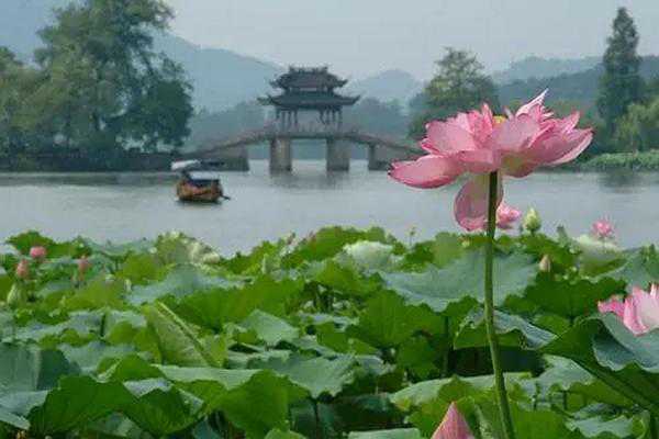 泰州溱湖景点介绍及购票指南