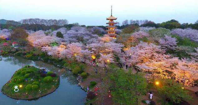 武汉东湖樱花园旅游攻略-门票价格-景点信息