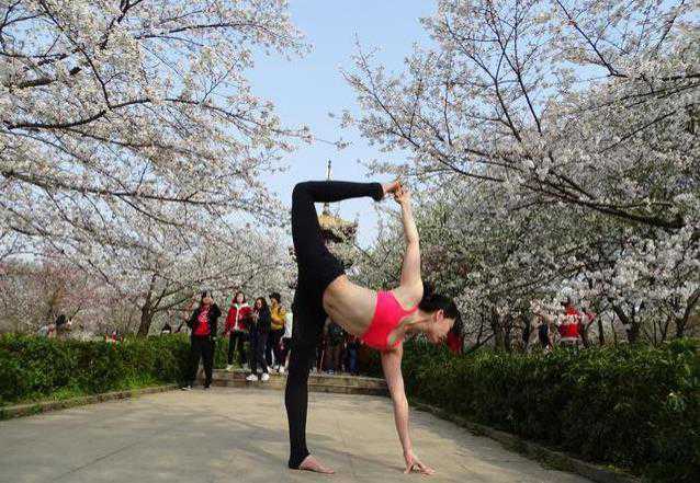 武汉东湖樱花园旅游攻略-门票价格-景点信息