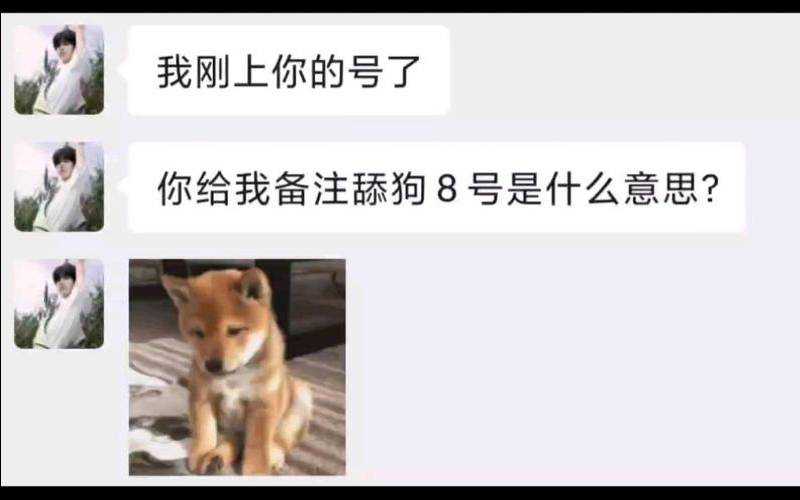 舔狗是什么意思，舔狗舔到最后一无所有