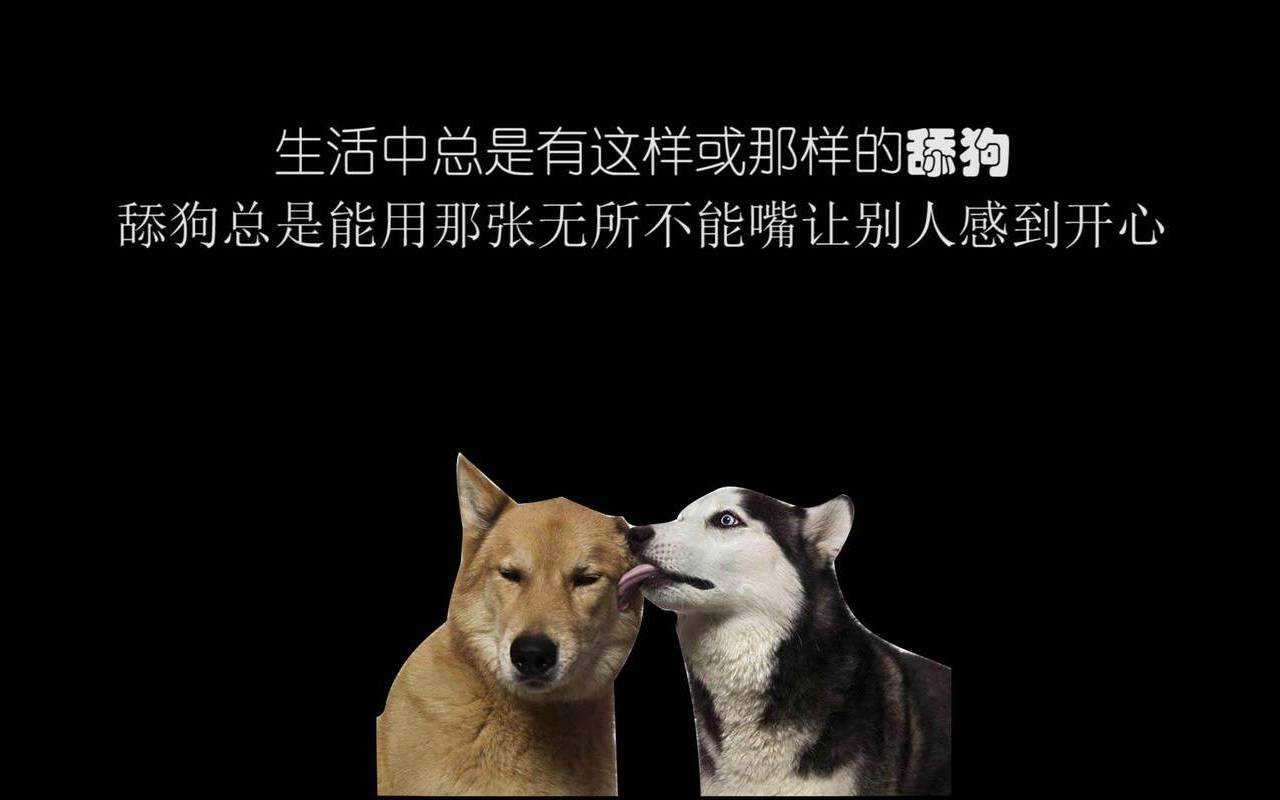 舔狗式的爱情能长久吗